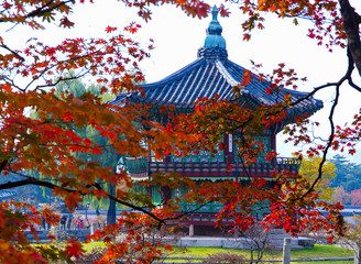 Autumn season of  Gyeongbokgung Palace in Seoul,South Korea.