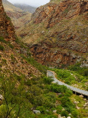 Fototapeta premium GH5R308511