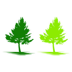 Fototapeta premium Two abstract trees in different shades of green stand side by side