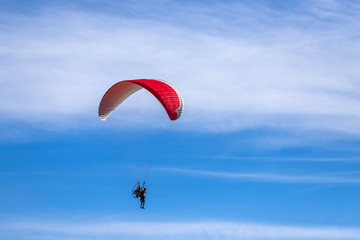 Fototapeta na wymiar paragliding in the blue sky