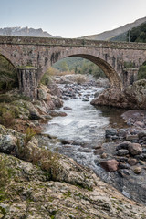 Fototapeta na wymiar Bridge over the Fango river at Manso in Corsica