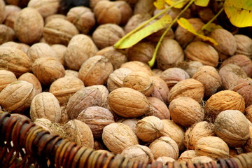 Walnuts in a basket. Harvest nuts. Golden autumn.
