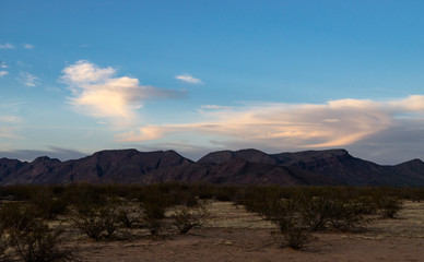 Creosote and the Harcuvar Range at Dusk