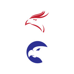 Falcon eagle birdWave Logo Template vector symbol