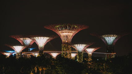 Fototapeta premium Garden by the bay architecture of Supertree Grove in Singapore