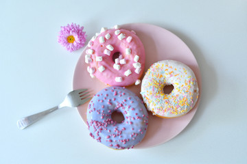multicolored Donuts on a pink plate