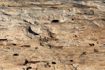 texture of old wall
