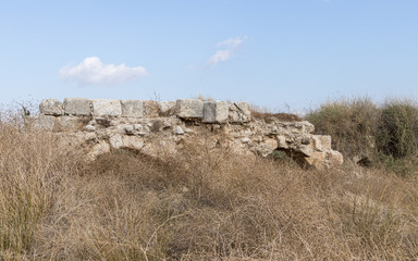 The  ruins of the crusader fortress - Templar - Toron des Chevaliers of the 12th century. Captured...