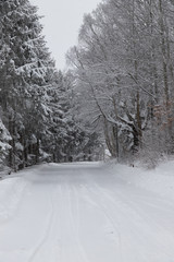 Winter landscape with forest, trees, blue sky, Winter day, Forest Snowy Road