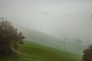 Obraz na płótnie Canvas Foggy Day in November