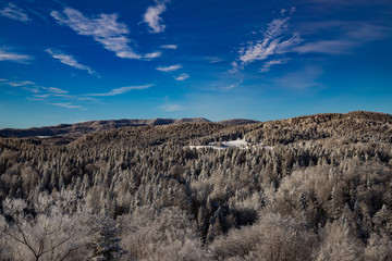 Winter landscape with forest, trees, blue sky, Winter day