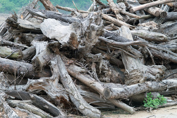 Dead wood chips on top of each other in a pile .