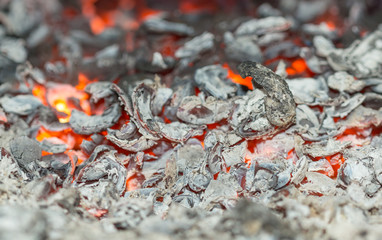 Texture embers closeup. Embers after a fire.