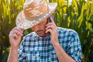 Corn farmer talking on mobile phone in crop field