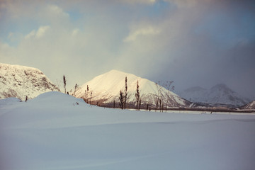 Snowy walley with dry grass at Nord