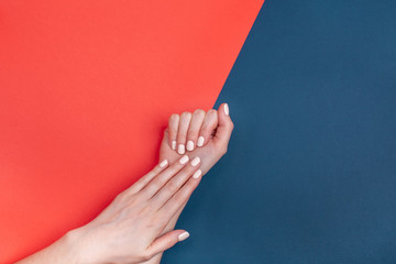 Beautiful female hands with a classic matte manicure on a blue-red background. Place for your text.