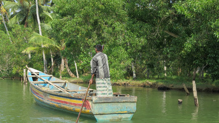 Obraz premium Paddling man in Indian backwaters
