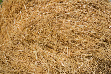 Straw