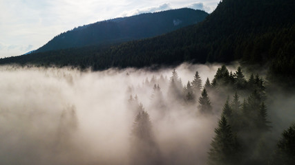 Aerial view of Tatra mountains in the fog in the morning