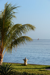 Palm tree and lantern on the ocean. Bali