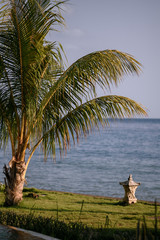 tropical beach with palm trees