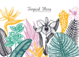 Exotic flora vector frame. Tropical plants, exotic flowers, citrus fruits, palm leaves sketches. Tropical background with orchid, monstera, bird of paradise, ginger, laurel, hibiscus, banana.