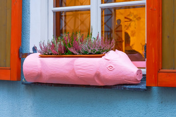 Flower bed in the form of a decoration for a pet pig under the windows of an apartment building.