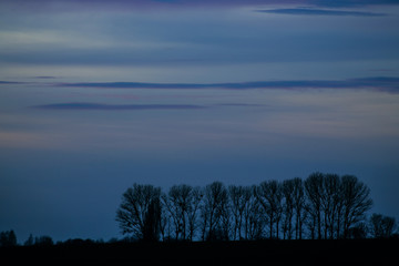 Fototapeta premium landscape with fog