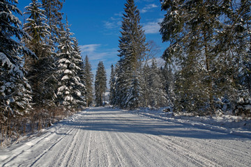 beautiful winter mountain road at sunny day