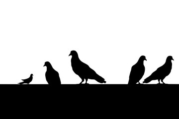 vector silhouettes of birds have path