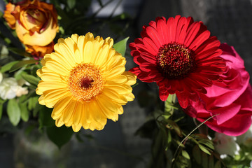 Beautiful bouquet of pink rose and gerbera daisy flowers. Vibrant, colorful and romantic flowers are perfect for event like Valentine's Day or anniversary. Colorful closeup / macro image. 