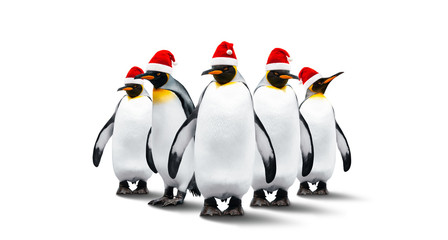 Five Emperor Penguins In New Year Helper Hats