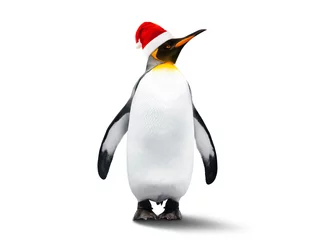 Zelfklevend Fotobehang Emperor Penguin In New Year Helper © karmaknight