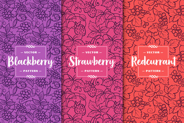 Set of three berries patterns. Blackberry, strawberry, red currant. Flat vector illustration. © Alex