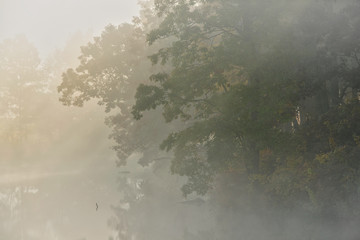 Foggy autumn landscape of the shoreline of Eagle Lake with sunbeams, Fort Custer State Park, Michigan, USA