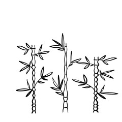 Handdrawn Bamboo Plant doodle style vector isolated Background