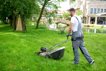 Gardener pushing the lawn mower