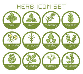 ハーブ　ラインアイコンセット © kumashacho