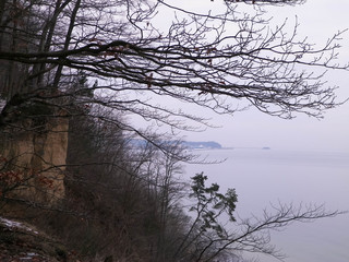 Polish nature - witer forest and Baltic Sea.