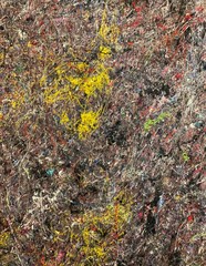 autumn leaves on the ground