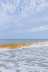 The sea shore at summer Sunny clear day in early summer