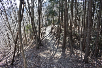 日向山から下山