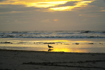 Sonnenuntergang Küste