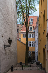 Lonely tree. A small narrow courtyard in the old town. Riga, Latvia.