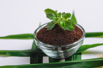 Dry black tea and green mint leaf on white background 
