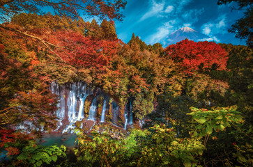 Shiraito Falls with Mt. Fuji and colorful autumn leaf in Fujinomiya, Shizuoka, Japan.
