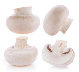 white Mushroom champignon isolated on white background
