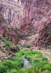 North Kaibab Trail - The Box - Bright Angel Creek - Grand canyon National Park