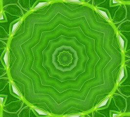 Abstract green background. Can used for object of seamless background.
