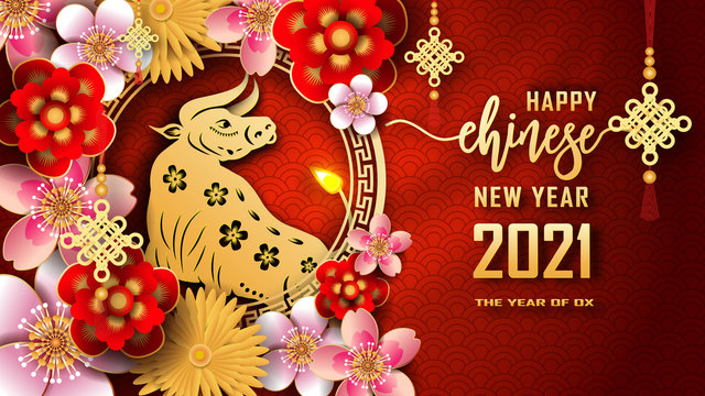 Happy Chinese new year 2021. The year of the Ox. Chinese new year fortune greeting card graphic design background and wallpaper. Red and gold paper cut with plum blossom flower. Asian culture element
